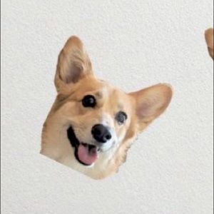 Meet your Posher, Tammy